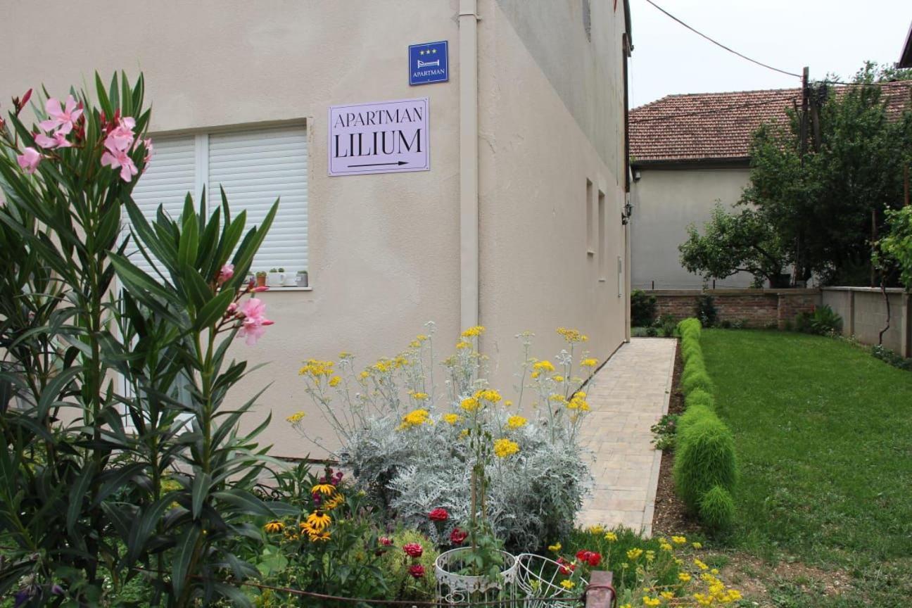 קנין Apartman Lilium מראה חיצוני תמונה